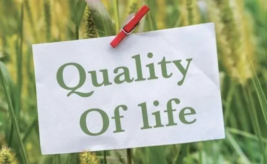 О гарантии качества: